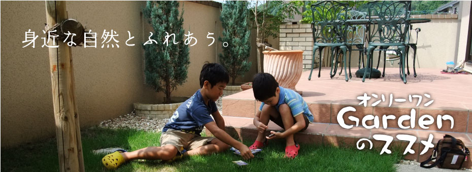 身近な自然とふれあう。